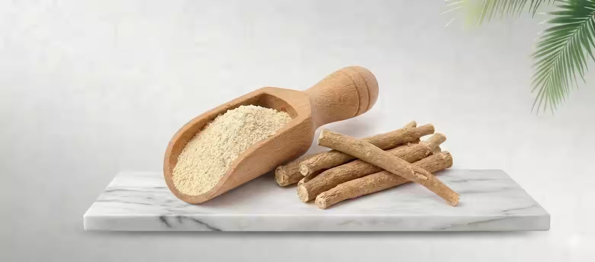 Herbal remedies for women’s health balance